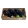 Eggplant Family Pack