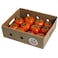 Tomato Red Bunch Family Pack