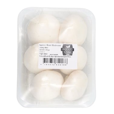 Mushroom White Giant Pack