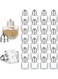 Castor Salt and Pepper Shakers 24 packs Pocket Condiment Bottle Individual Seasonings Shakers Salt Container Holder Seasoning Holders Glass Pepper Jar Spice Jars Silver lids