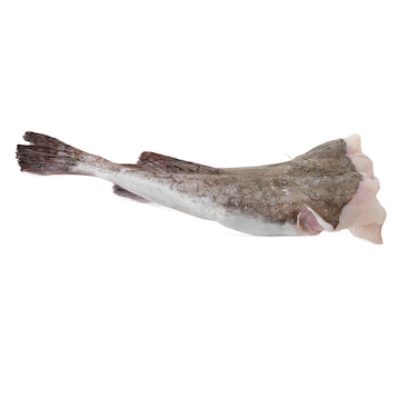 Monk Fish Tail