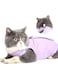 ELECDON Cat Recovery Suit, Cat Professional Recovery Suit With Avoid Licking For Surgical Abdominal Wounds Soft Breathable Home Indoor Pet Clothing E collar Alternative For Cats Dogs (M, Purple)