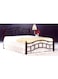 Wooden Steel Single Size Bed Cherry Brown Legs -90 x 190 cm SH-Single With Medical Mattress