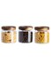 Airtight Glass Storage Jar with Acacia Wood Air-tight Lid,3 Pack Borosilicate Glass Kitchen Canisters，Glass Canister for Kitchen, Pantry Organization, Ideal for Coffee, Nuts, Cookie (500ml)