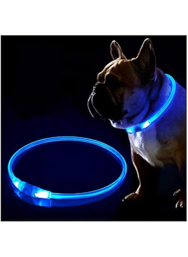 Fashion&amp;cool LED Dog Collar, USB Rechargeable Flashing Light Up Collar for Safety at Night, Adjustable Water Resistant Bright Lighted Collar for Small Medium Large Dogs 65cm Royal Blue FCLED-001-02-00