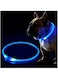 Fashion&amp;cool LED Dog Collar, USB Rechargeable Flashing Light Up Collar for Safety at Night, Adjustable Water Resistant Bright Lighted Collar for Small Medium Large Dogs 65cm Royal Blue FCLED-001-02-00