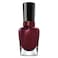 Sally Hansen Miracle Gel Nail Polish, 480 Wine Stock, 14.7ml