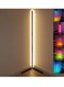 Floor Lamp Corner Standing Lamp with RGB Color Changing Levels Brightness and Color Temperature, Remote Control Modern for Living Room, Bedroom