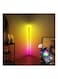 Remote Control RGB LED Corner Floor Lamp