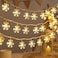 Aowin Christmas Snowflake String Lights,6M 40 LED Snowflake Lights Battery Operated with 2 Modes,Christmas Tree Decoration String Lights for Xmas Holiday Party Home Decor - Warm White(A)