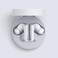 CMF Buds Pro Wirelesss Earphones with 45 dB ANC Ultra Bass Technology Custom Dynamic Bass IP54 Dust and Water Resistance 6 HD Mics and Up to 39 Hours of Battery Grey