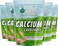 Bliss Of Earth Calcium Carbonate Powder 5x907gm (Pack Of 5)