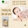 Bliss Of Earth Bentonite Clay Powder For Skin, Bentonite Clay Mask For Face &amp; Body, Edible Bentonite Clay For Weight Loss, Indian Healing Clay For Detoxifying &amp; Deep Cleansing - Pack Of 5 X 100g