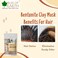 Bliss Of Earth Bentonite Clay Powder For Skin, Bentonite Clay Mask For Face &amp; Body, Edible Bentonite Clay For Weight Loss, Indian Healing Clay For Detoxifying &amp; Deep Cleansing - Pack Of 5 X 100g