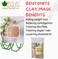 Bliss Of Earth Bentonite Clay Powder For Skin, Bentonite Clay Mask For Face &amp; Body, Edible Bentonite Clay For Weight Loss, Indian Healing Clay For Detoxifying &amp; Deep Cleansing - Pack Of 5 X 100g