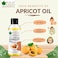 Bliss Of Earth Wildcrafted Himalayan Apricot Oil 100ml+100% Pure Wild Crafted Neem Oil 100ml Great For Haircare, Skincare (Pack Of 2)