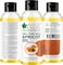 Bliss Of Earth Wildcrafted Himalayan Apricot Oil 4X100ml Coldpressed &amp; Unrefined Pack Of 4