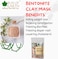 Bliss Of Earth Bentonite Clay Powder For Skin, Bentonite Clay Mask For Face &amp; Body, Edible Bentonite Clay For Weight Loss, Indian Healing Clay For Detoxifying &amp; Deep Cleansing - Pack Of 2 X 100g