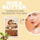 Bliss Of Earth Ivory Shea Butter For Body, Raw Organic Shea Butter For Lip Balm, Unrefined Shea Buter For Hair, Face &amp; Skin, Moisturizer Shea Buter For Soap Making &amp; DIY Products - Pack Of 2 X 100g