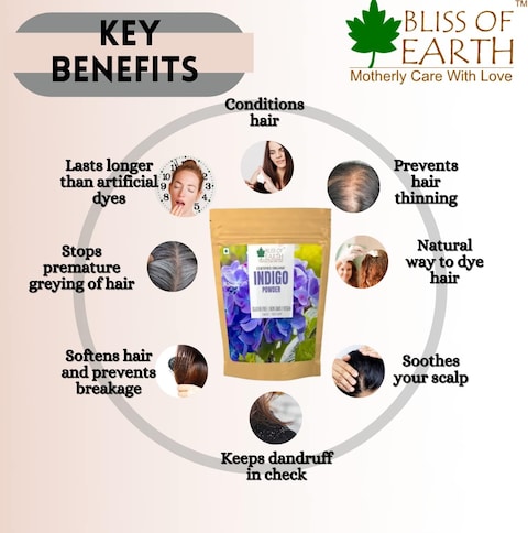 Bliss Of Earth Organic Indigo Powder For Hair Black Organic Hair Dye Pack Of 2X453gm
