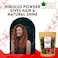 Bliss Of Earth 100% Pure &amp; Natural Hibiscus Powder, 2X100gm, Makes Hair Stronger &amp; Thicker, Controls Ageing, Cures Acne &amp; Pimples