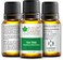 Bliss Of Earth Tea Tree Essential Oil Organic &amp; Pure, Therapeutic Grade Tea Tree Oil For Face, Antibacterial Tea Tree Oil For Hair, Acne Treatment, Scalp Health &amp; Immune Support - Pack Of 3 X 10ml