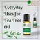 Bliss Of Earth Tea Tree Essential Oil Organic &amp; Pure, Therapeutic Grade Tea Tree Oil For Face, Antibacterial Tea Tree Oil For Hair, Acne Treatment, Scalp Health &amp; Immune Support - Pack Of 3 X 10ml
