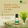 Bliss Of Earth Tea Tree Essential Oil Organic &amp; Pure, Therapeutic Grade Tea Tree Oil For Face, Antibacterial Tea Tree Oil For Hair, Acne Treatment, Scalp Health &amp; Immune Support - Pack Of 3 X 10ml
