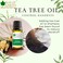 Bliss Of Earth Tea Tree Essential Oil Organic &amp; Pure, Therapeutic Grade Tea Tree Oil For Face, Antibacterial Tea Tree Oil For Hair, Acne Treatment, Scalp Health &amp; Immune Support - Pack Of 3 X 10ml