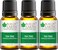 Bliss Of Earth Tea Tree Essential Oil Organic &amp; Pure, Therapeutic Grade Tea Tree Oil For Face, Antibacterial Tea Tree Oil For Hair, Acne Treatment, Scalp Health &amp; Immune Support - Pack Of 3 X 10ml