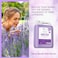 Bliss Of Earth Hand Wash Refill Liquid, Refreshing Luxury Lily &amp; Lavish Lavender Hand Soap Combo, 10 Litres, Non Drying Moisturizing Formula, Aromatic Fragrance
