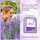 Bliss Of Earth Hand Wash Refill Liquid, Refreshing Lavish Lavender &amp; Citrus Hand Soap Combo, 10 Litres, Non Drying Moisturizing Formula, Aromatic Fragrance