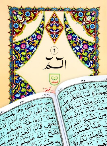 مجموعة من 30 نسخة من القرآن الكريم بخط الأردو رقم 100.