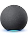 سمارت هوم هاب الجيل الخامس. (أسود)