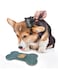 Flamingo Silicone Bone Lick Pad M-PETROL