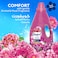 Comfort Concentrate Fabric Softener, Orchid &amp; Musk, 9x fragrance, 2L