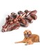 Durable Dog Chew Toy, Alligator and Triceratops Design, Solid Nylon, for Aggressive Chewers