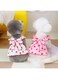 2 Pcs Dog Dresses for Puppy Tutu Skirt Strawberry Print Dog Dresses Cotton Summer Clothes Birthday Outfit (Pink+White, L)