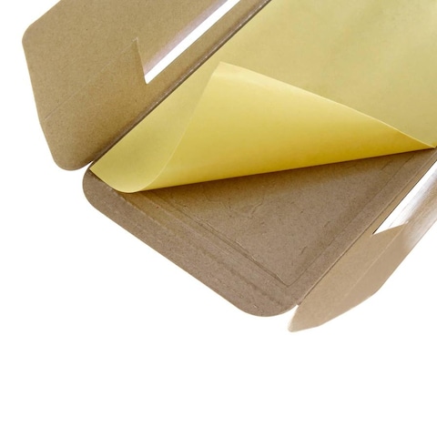 Pack Of 2 Goodbye Roach House Trap
