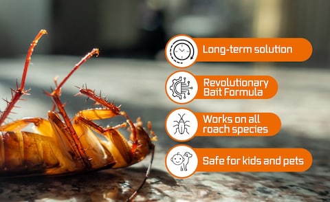 Advion Buy 1 Get 2 Cockroach Gel Bait German Roach Insect Pest Control 30g