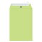 FIS Executive Laid Paper Envelopes Peel &amp; Seal, Pack of 25 Pcs. Green Color, C4 (324 x 229 mm) Size, 100 GSM - FSEE1027PGRB25