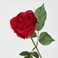 Artificial Flower In/Outdoor/Rose Red 40cm