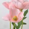 Artificial Flower In/Outdoor/Poppy Pink 27cm