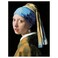 Picture Girl With A Pearl Earring  2 30X40cm
