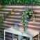 Artificial Potted Plant In/Outdoor/Tradescantia Zebrina 12cm