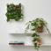 Artificial Potted Plant In/Outdoor/Tradescantia Zebrina 12cm