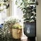 Artificial Potted Plant In/Outdoor Eucalyptus 15cm