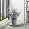 Artificial Potted Plant In/Outdoor Eucalyptus 15cm