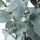 Artificial Potted Plant In/Outdoor Eucalyptus 15cm