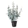 Artificial Potted Plant In/Outdoor Eucalyptus 15cm